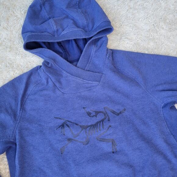 Arcteryx Archaeopteryx Logo Pullover Hoody Hoodie Women's Small - Picture 2 of 7